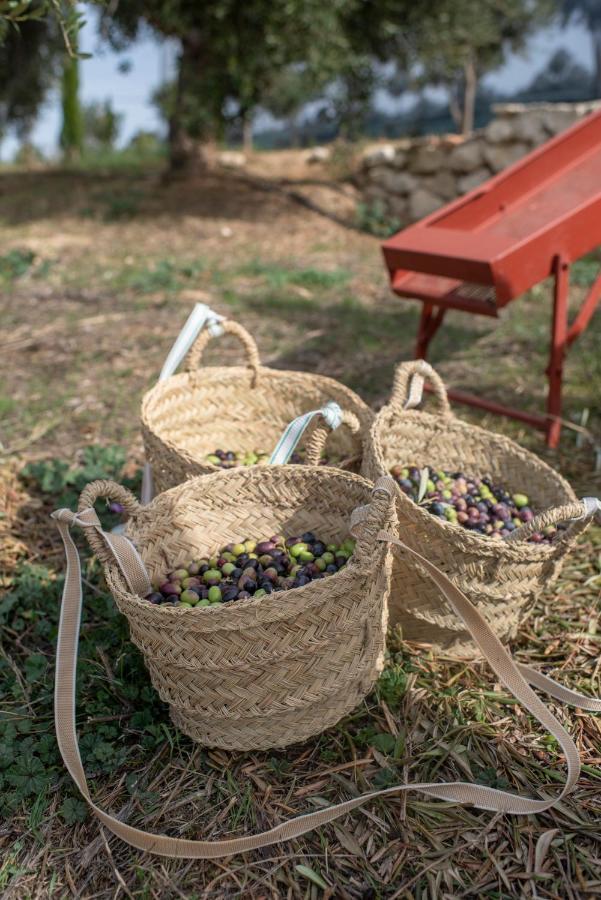 Отель Cortijo La Organic Ронда Экстерьер фото