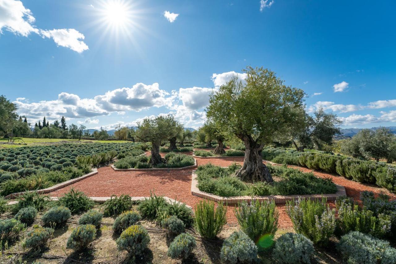 Отель Cortijo La Organic Ронда Экстерьер фото
